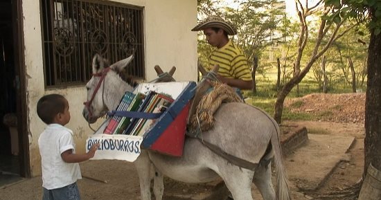 أغرب المكتبات حول العالم.. في أكشاك التليفونات وعلى ظهر الحمير