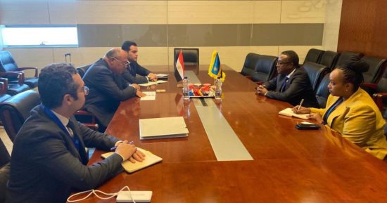 وزير الخارجية يبحث مع وزير خارجية رواندا تطورات الأوضاع فى شرق الكونغو