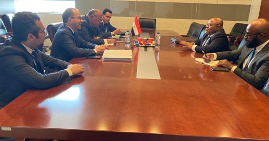 سامح شكرى يستعرض مع مسؤول صومالى تجربة مصر الناجحة فى القضاء على الإرهاب