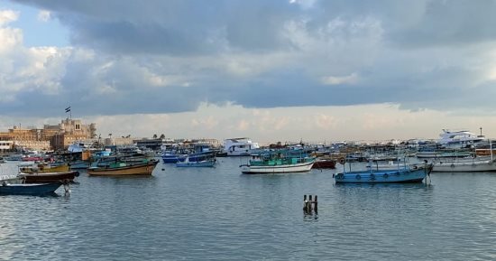 طقس شتوى على الإسكندرية.. أمطار غزيرة ورياح وارتفاع للأمواج.. المحافظة تعطل الدراسة بسبب سوء الأحوال الجوية.. رفع درجات الطوارئ بجميع الاجهزة التنفيذية.. والصرف الصحى يدفع بـ 152 سيارة ومعدة.. صور
