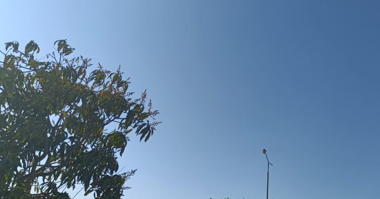 طقس المنوفية الآن.. برودة فى الجو وغيوم بالسماء على معظم أنحاء المحافظة