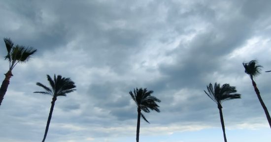 الغيوم تغطى سماء الإسكندرية مع استمرار تمركز سيارات الصرف الصحى