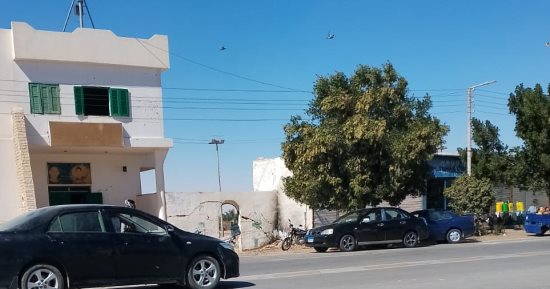 طقس الوادي الجديد: سماء صافية ورياح خفيفة والحرارة 15 وتنخفض لـ 6 درجات ليلا
