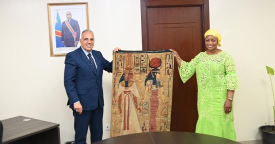 وزير الرى: إنشاء 12 محطة مياه شرب جوفية مزودة بالطاقة الشمسية فى الكونغو