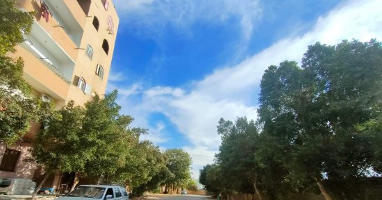 طقس الوادى الجديد.. رياح متوسطة وسحب كثيفة والحرارة 20 درجة مئوية
