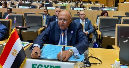 شكرى: ملف سد النهضة على أجندة القمة العربية المقبلة.. والأحادية تقود إلى التوتر