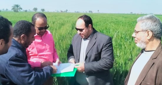 ‫"الزراعة" تواصل تدقيق مساحات القمح على أرض الواقع ومتابعة المحاصيل الشتوية