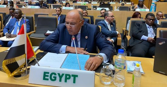 وزير الخارجية يدعو الدول الأفريقية إلى النأي بنفسها عن محاولات شق الصف