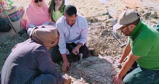 اكتشاف حفرية سلحفاة نهرية جانبية العنق عمرها 70 مليون سنة بالوادى الجديد.. صور