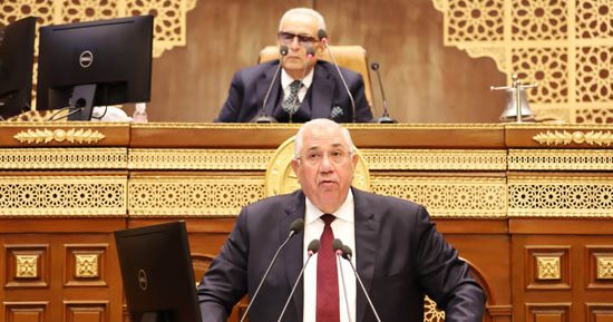 وزير الزراعة لـ"الشيوخ": نسعى لإعادة النظر فى سعر توريد القمح بالموسم الجديد