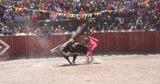 الثور فى مواجهة النسر.. تعرف على مهرجان "الدم" الذى ترفضه منظمات حقوق الحيوان
