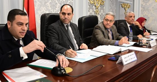 نواب المحافظين يطالبون بحل مشكلات ترفيق المناطق الصناعية 