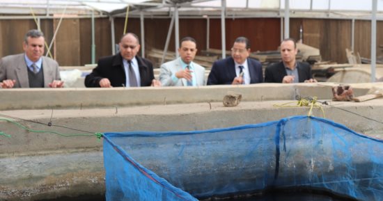 رئيس جامعة بنها يستقبل وفد هيئة تنمية الصعيد بمجلس الوزراء لتعزيز التعاون
