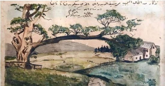 كان عمره 16 سنة.. شاهد أول لوحة رسمها سيف وانلى
