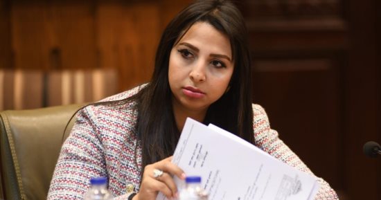 "محلية النواب" تناقش طلب إحاطة لنائبة التنسيقية وتوصى بإنجاز ميدان الحكمة