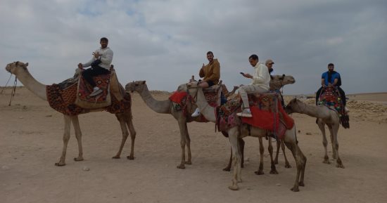اللجنة المنظمة للبطولة العربية للطائرة تنظيم جولة سياحية للحكام العرب والفرق