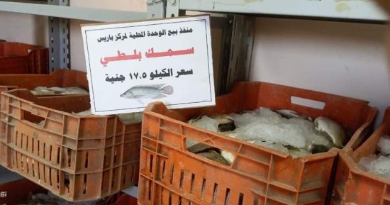 "بلطى المفيض".. أرخص سمك طازج فى مصر.. يتم صيده من أكبر بحيرات طبيعية فى قلب الصحراء الغربية.. وسعر الكيلو 17 جنيها.. وإنشاء شبكة طرق واتصالات لخدمة المنطقة.. ومحافظ الوادى الجديد: مفيض باريس بوابة تنمية.. صور
