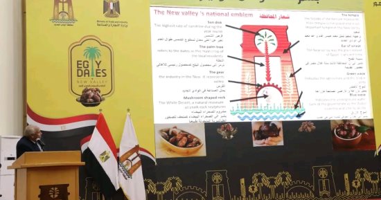 محافظ الوادى الجديد يشهد مؤتمر "سيدات أعمال مصر 21" بحضور 150 سيدة أعمال..صور