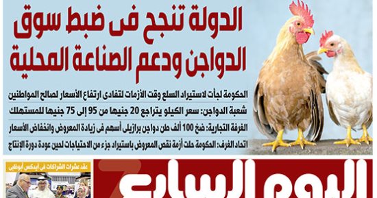 اليوم السابع: الدولة تنجح فى ضبط سوق الدواجن ودعم الصناعة المحلية