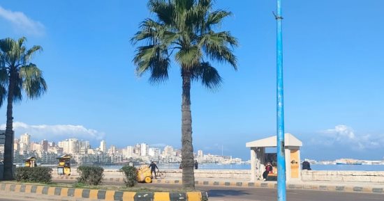 طقس الإسكندرية اليوم.. معتدل مع اختفاء للسحب منذ الصباح