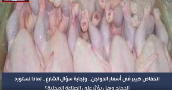 انخفاض أسعار الدواجن.. سر استيراد الدولة للدجاج وهل يؤثر على الصناعة المحلية؟