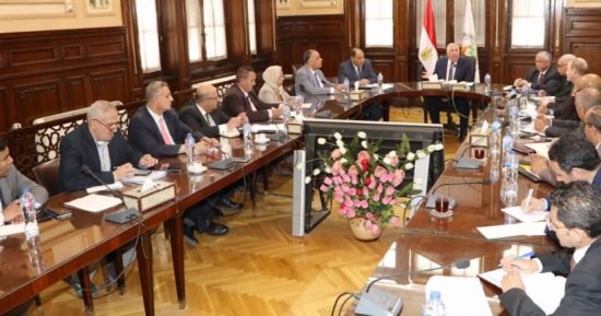 ‫وزير الزراعة: حصر مساحات القمح وبحث الدورة الزراعية والتوسع فى توفير التقاوى
