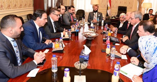 طارق رضوان لوفد أوروبي: لدينا ما يقرب من 7 ملايين لاجئ يتم معاملتهم كمواطنين