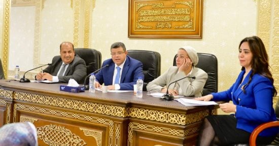 نص مشروع نائبة التنسيقية غادة على لتعديل قانون سوق رأس المال
