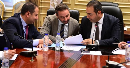 "شباب النواب" توصى بتفعيل بروتوكول استغلال ملاعب المدارس وزيارة ميدانية لأندية الجيزة
