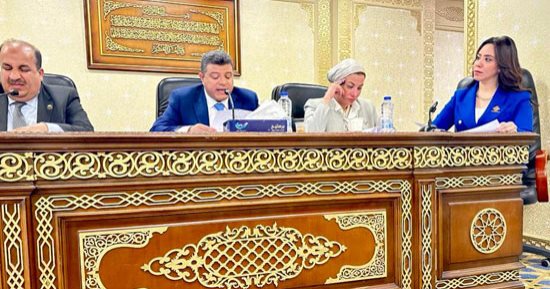 الرقابة المالية توافق على مشروع قانون سوق رأس المال لنائبة التنسيقة غادة على