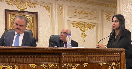  "شكاوى النواب" توافق على اقتراح نائبة التنسيقية بدعم مستشفى مشتول السوق 