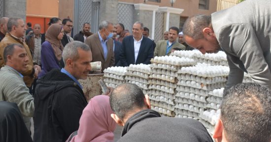 بيع البيض بـ95 جنيها للأبيض و96 للأحمر أمام ديوان محافظة القليوبية فى بنها