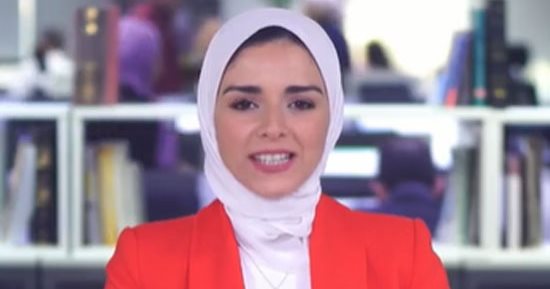 التفاصيل الخاصة بمشروع الـ 2.2 مليون فدان بالدلتا الجديدة.. "فيديو"