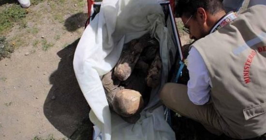 العثور على مومياء عمرها 800 عام فى حقيبة لص.. اعرف تفاصيل