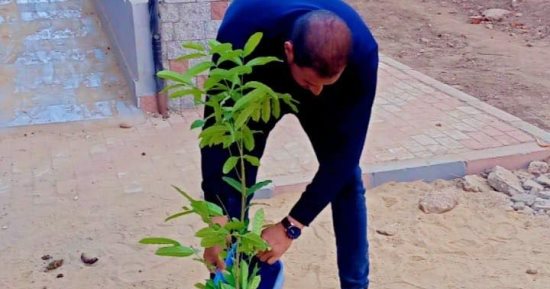 زراعة أشجار مثمرة ببني حرام بمركز ديرمواس ضمن مبادرة "100 مليون شجرة"