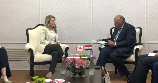 شكري يبحث مع نظيرته الكندية تطورات الأزمة الروسية الاوكرانية