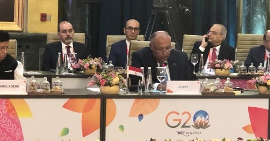 وزير الخارجية يستعرض رؤية مصر فى مكافحة الإرهاب على هامش اجتماعات G20