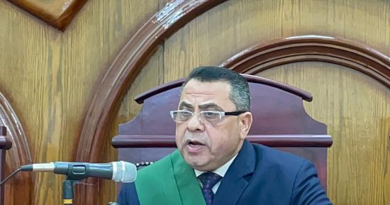 السجن المشدد 15 سنة للمتهم بالاعتداء على طفلة بالشرقية