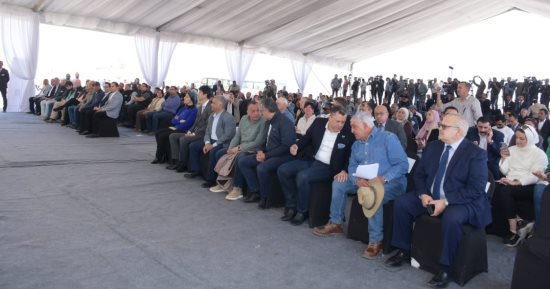 رئيس جامعة القاهرة: فريق من كلية الهندسة ساهم فى الكشف العلمى الأخير بهرم خوفو