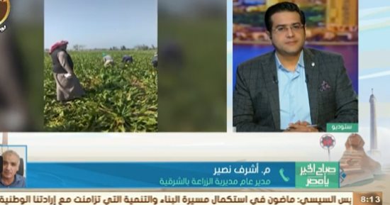 مدير الزراعة بالشرقية: زرعنا 90 ألف فدان بنجر سكر فى الموسم الحالى