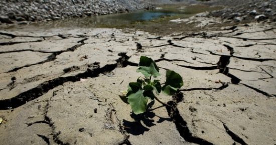 الأمم المتحدة: الجنوب الأفريقي يواجه أسوأ حالات الجفاف منذ عقود