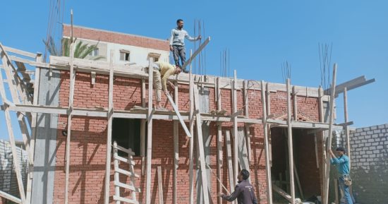 حملات لإزالة التعديات على الأراضى الزراعية وإيقاف البناء المخالف بالإسكندرية