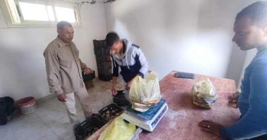 طرح لحوم وسلع غذائية بأسعار مخفضة فى منافذ أحياء الخارجة بالوادى الجديد.. صور
