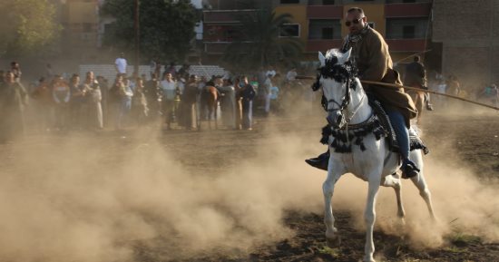 سباقات مرماح خيول مميزة ومبهجة احتفالاً بمولد سيدى أبو الحجاج الأقصرى.. صور