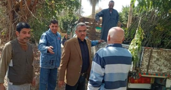 تسليم عدد من الأشجار المثمرة والزينة تمهيدا لغرسها بقرى الفشن جنوب بنى سويف