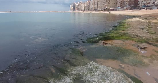 "اليوم السابع" يرصد عودة مياه البحر على شواطئ الإسكندرية للمعدلات الطبيعية تدريجيا.. "معهد علوم البحار": ظاهرة طبيعية تحدث بشكل دوري بسبب المد والجزر.. و"بحوث الزلازل" تؤكد: لا علاقة له بالزلازل أو"تسونامى"