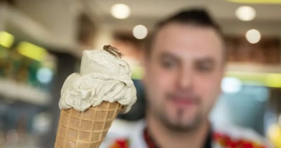 مطعم ألمانى يقدم آيس كريم بالصراصير والحشرات المجففة.. صور