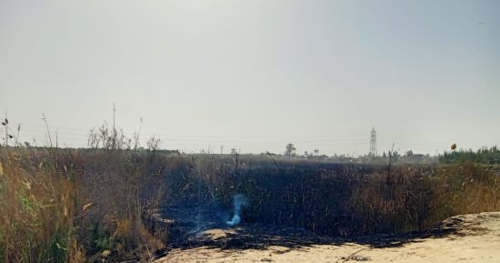 السيطرة على 3 حرائق بـ"هيش وبوص" في 3 مراكز بالإسماعيلية 