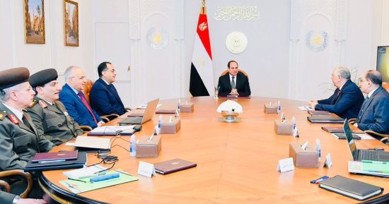 الرئيس السيسي يتابع الموقف التنفيذى لمشروع الإنتاج الزراعى فى الدلتا الجديدة