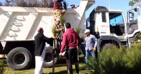 محافظ مطروح يتابع توزيع شتلات الأشجار ضمن "مبادرة 100 مليون شجرة" ..صور